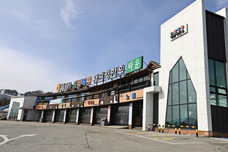 [강원] 대관령한우타운