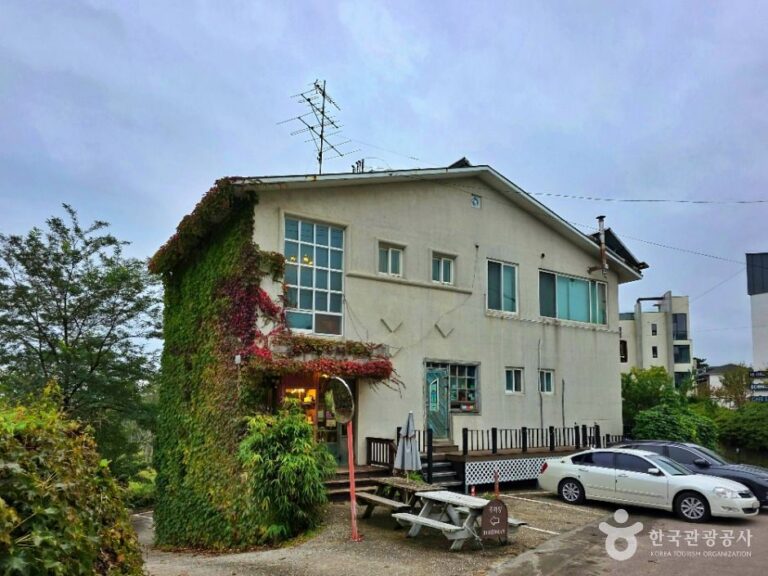 [강원] 보헤미안 박이추커피