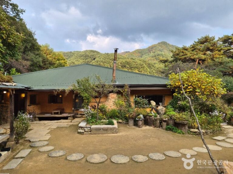 [강원] 들꽃이야기