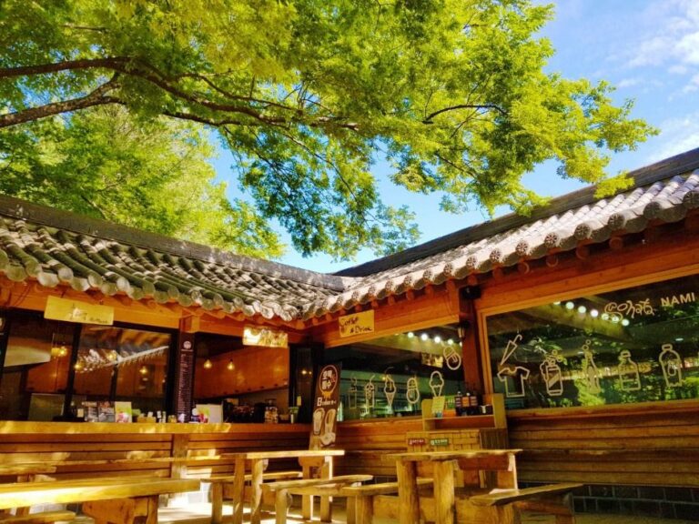 [강원] 소나타까페