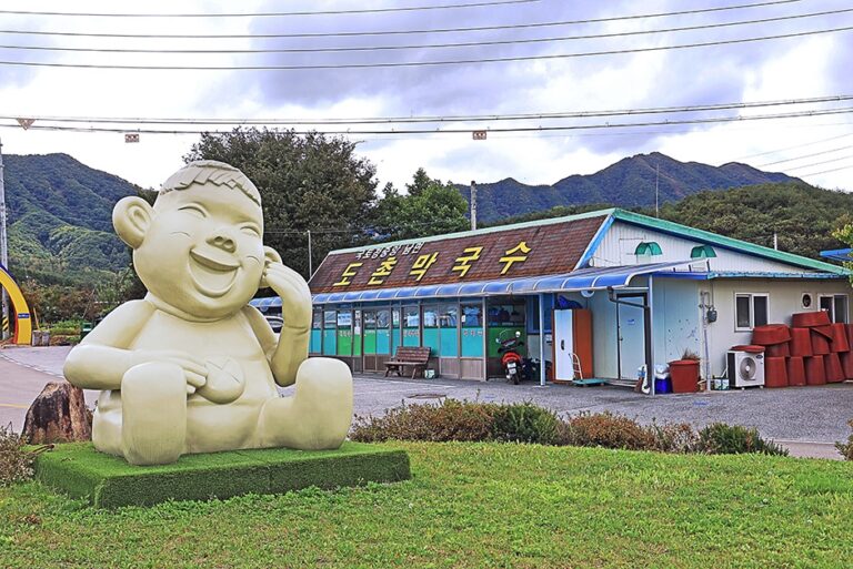 [강원] 도촌막국수
