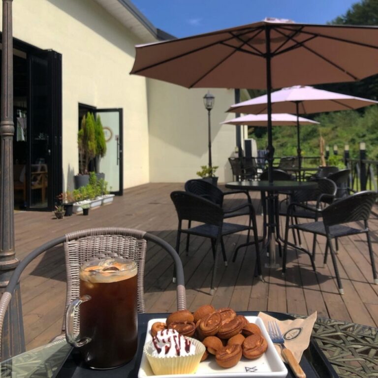 [강원] 카페데일리