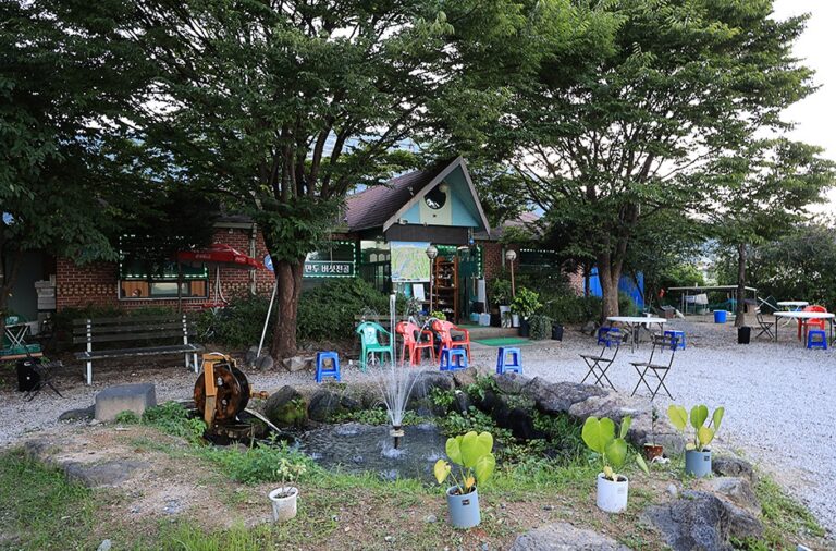 [강원] 철원 솔향기