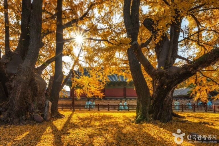 [서울] 서울 문묘와 성균관