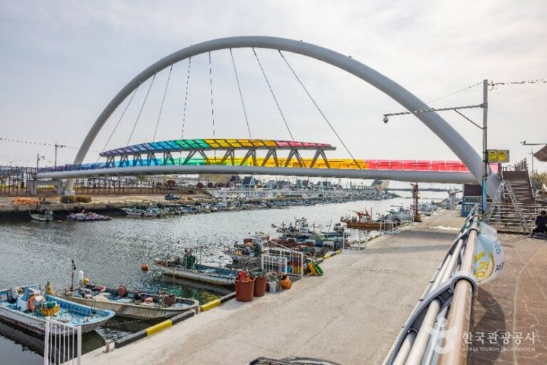 [부산] 장림포구