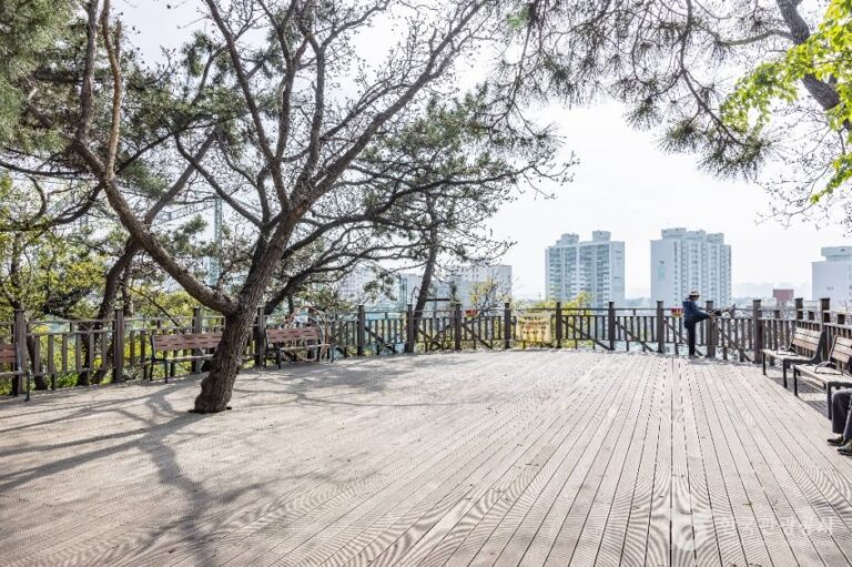 [부산] 부산 에덴공원