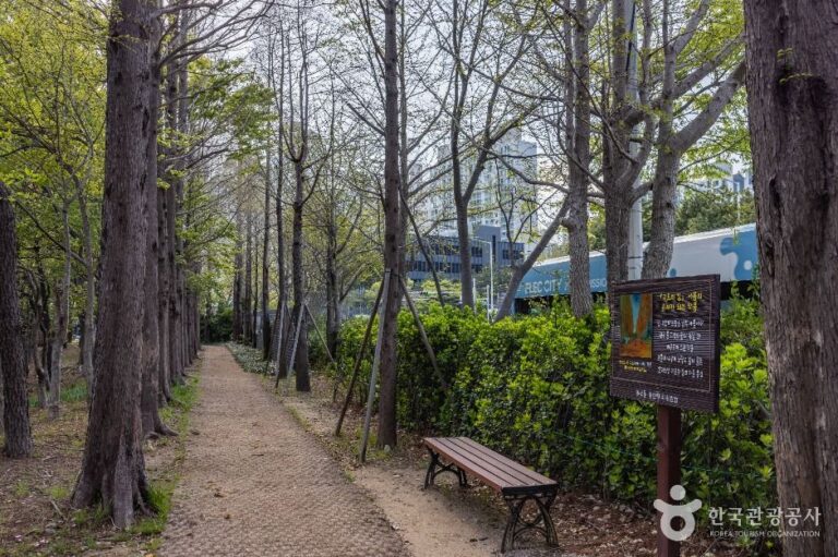 [부산] 고흐의 길