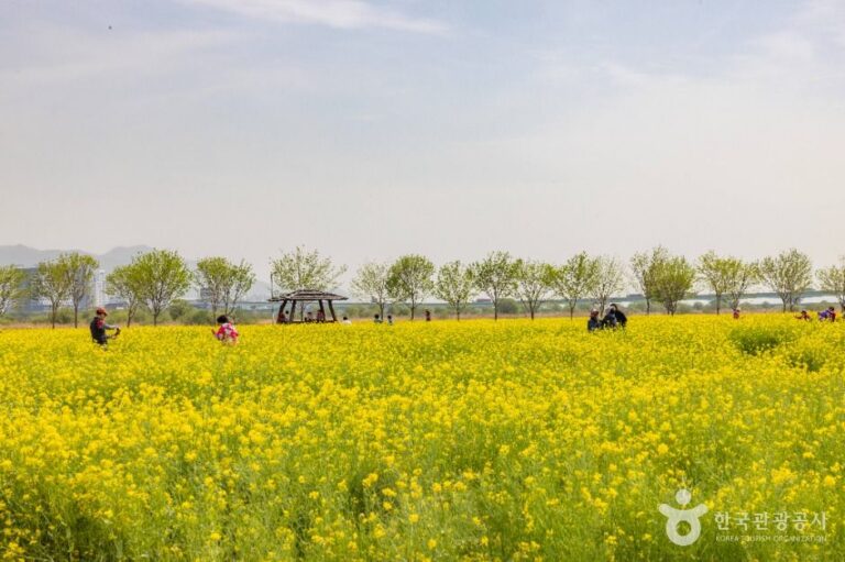 [부산] 대저생태공원