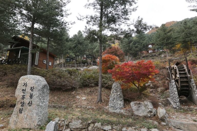 [경기] 칼봉산자연휴양림