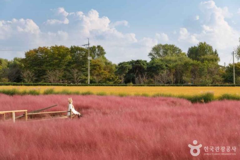 [경기] 바람새마을