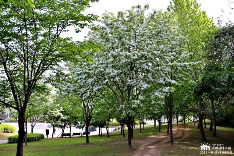 [경기] 여기산공원