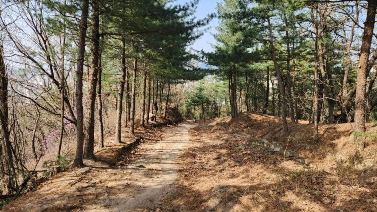 [경기] 장암숲늘품길