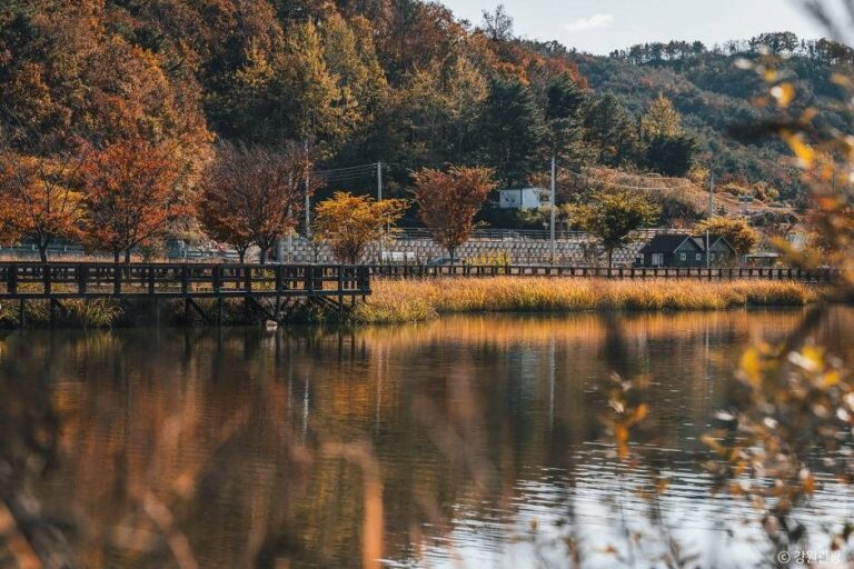 [강원] 학저수지