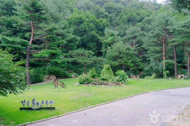 [강원] 강릉 솔향수목원