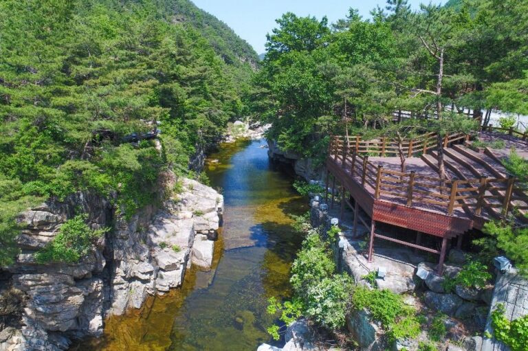 [강원] 무릉 달빛 호암소길