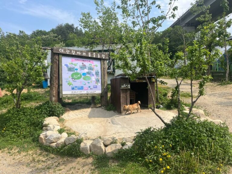 [강원] 대관령아기동물농장