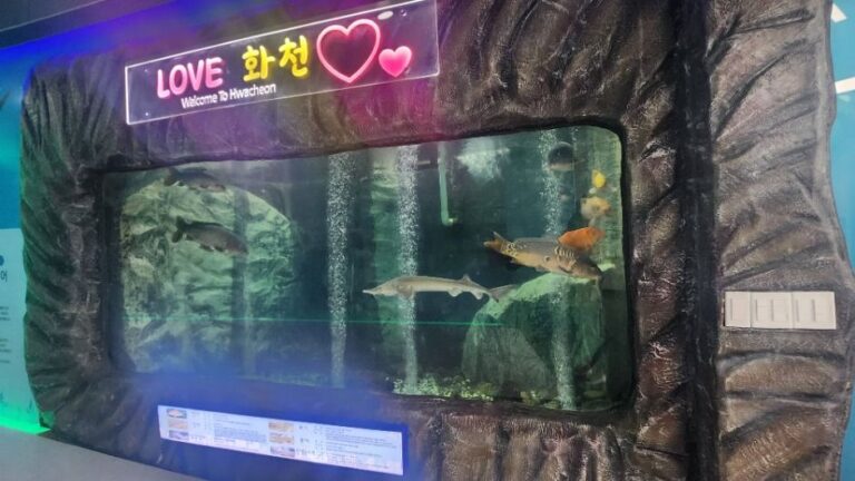 [강원] 토속어류생태체험관