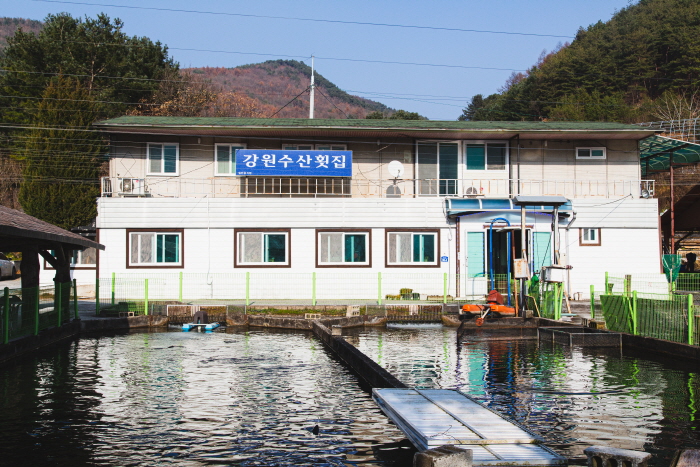 [강원] 강원수산횟집