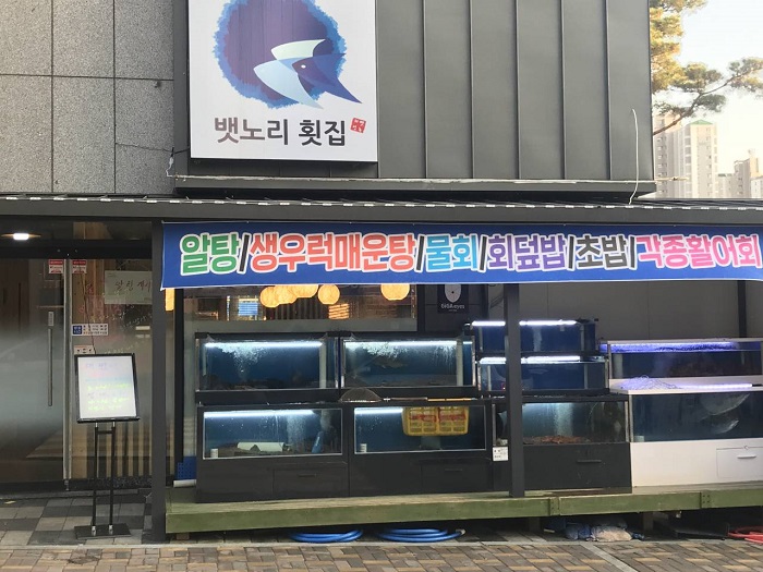 [강원] 뱃노리횟집