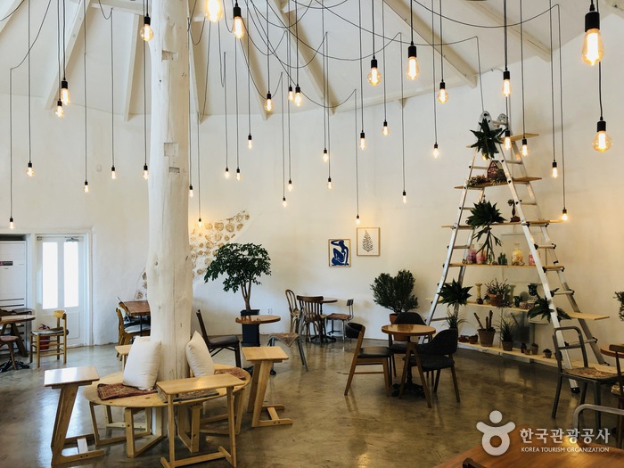 [강원] 아뜰리에안