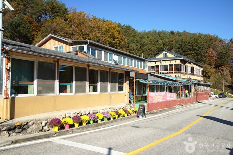 [강원] 원대막국수