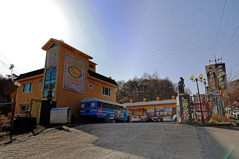 [강원] 노랑공장