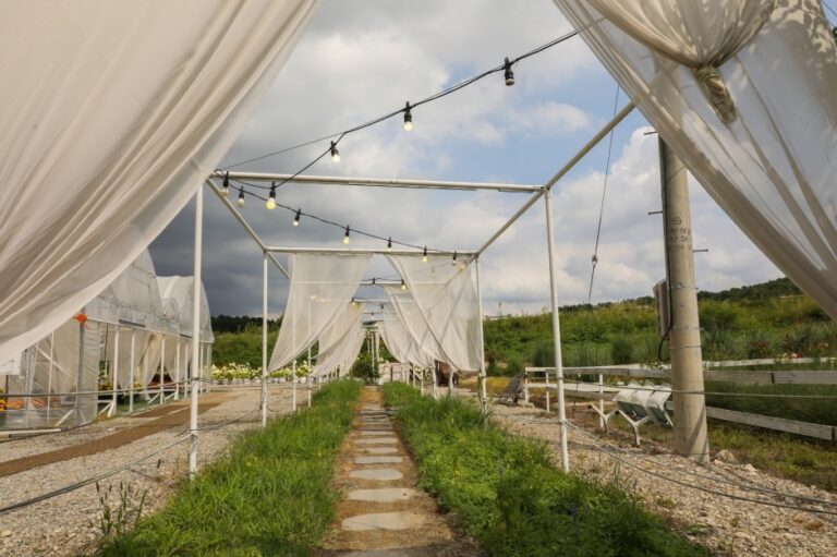 [강원] 유기농카페