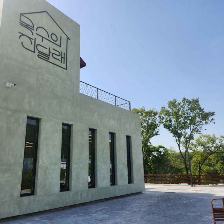 [강원] 목수의진달래