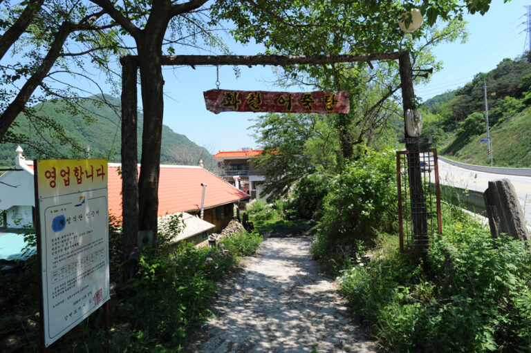 [강원] 화천어죽탕