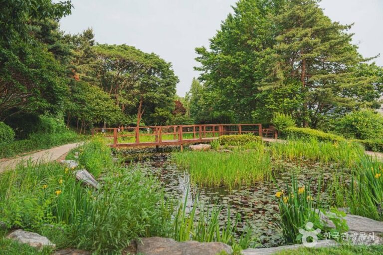 [서울] 남산 야외식물원