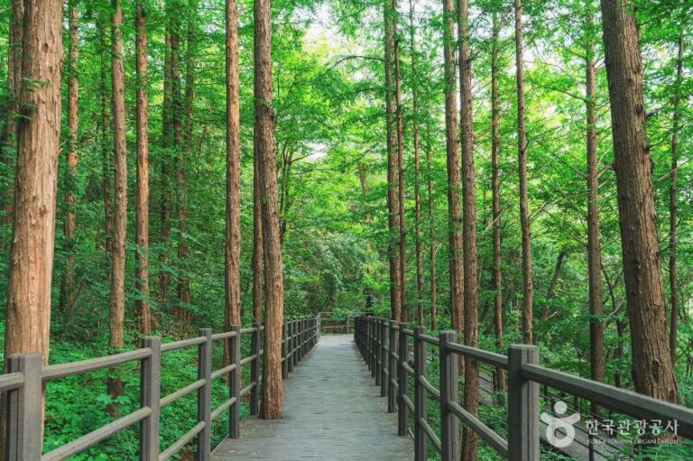 [서울] 서대문 안산(안산자락길)