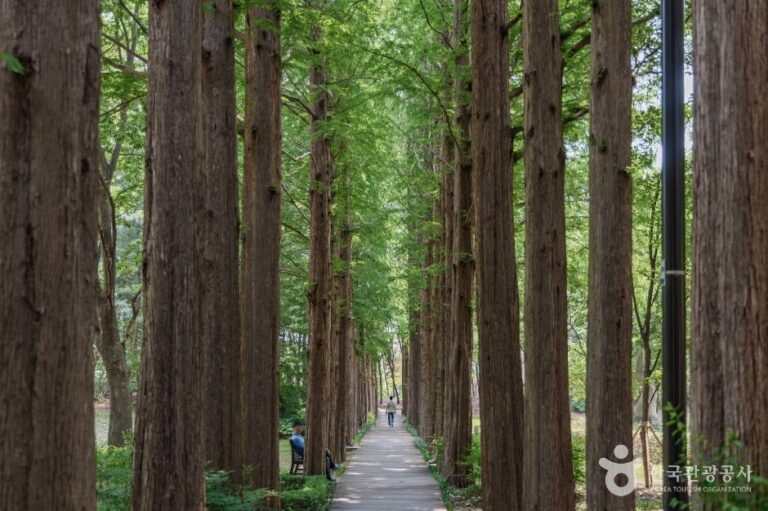 [서울] 서초문화예술공원