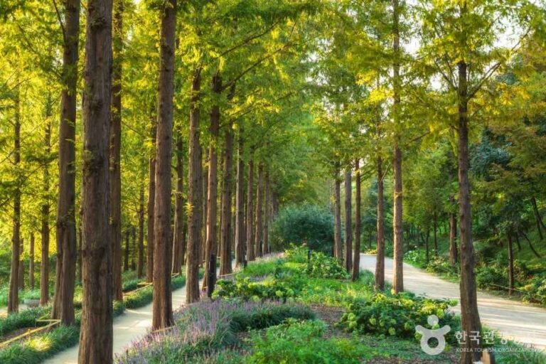 [서울] 월드컵공원