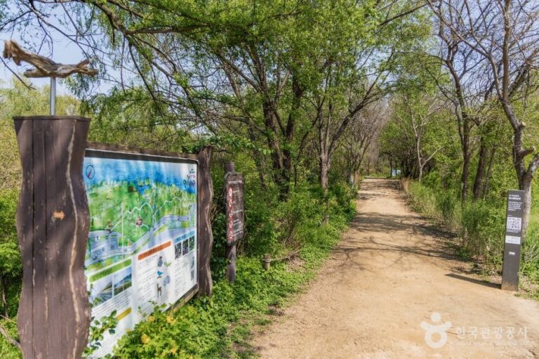[서울] 광나루한강공원 암사생태공원