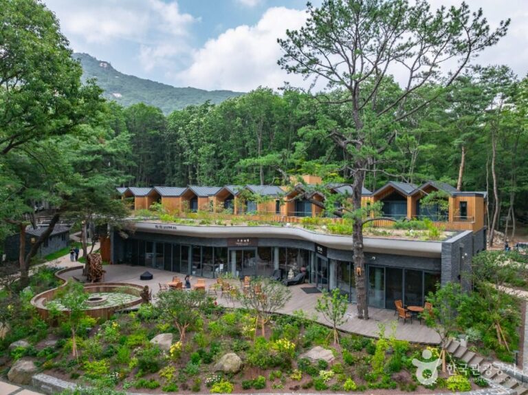 [서울] 수락 휴(수락산 동막골 자연휴양림)