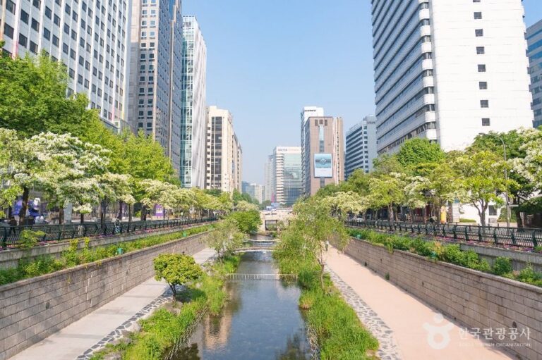 [서울] 종로 청계 관광특구