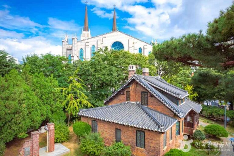 [대구] 동산청라언덕