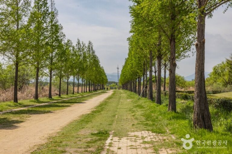 [부산] 삼락생태공원