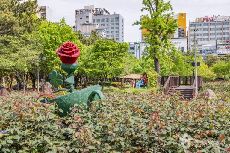 [부산] 장미원