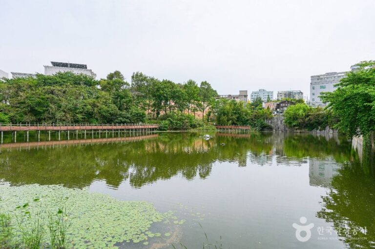 [울산] 성안숯못생태공원