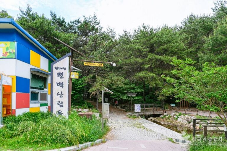 [울산] 북구 편백산림욕장