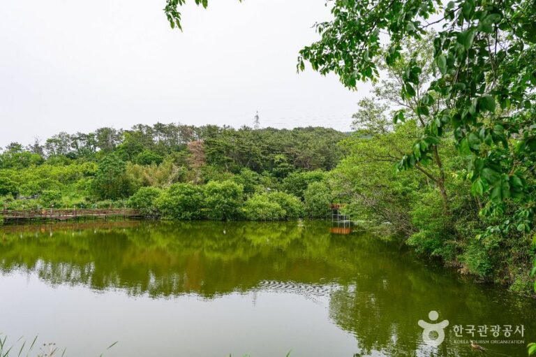 [울산] 화동못수변공원