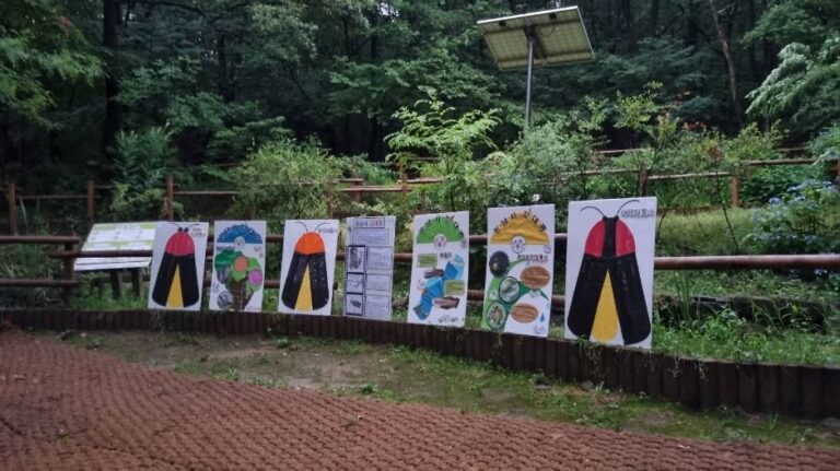 [경기] 맹산반딧불이자연학교