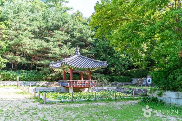 [경기] 정발산공원