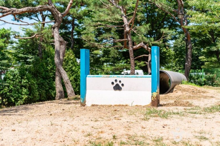 [경기] 일산호수공원 반려견놀이터