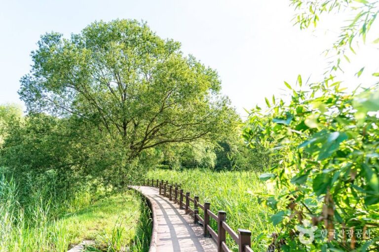 [경기] 안곡습지공원
