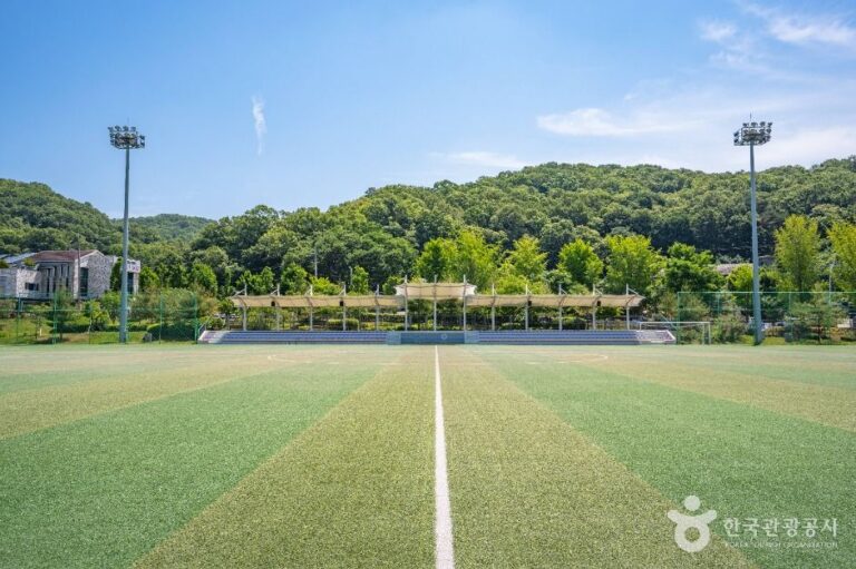 [경기] 비산체육공원