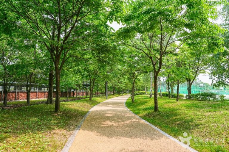 [경기] 서호꽃뫼공원