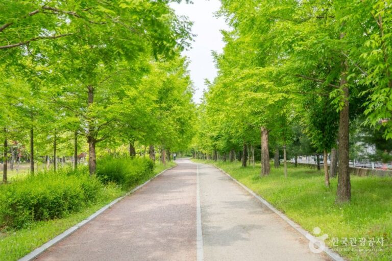 [경기] 중보들공원