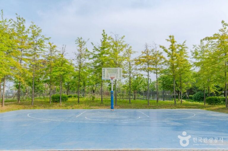 [경기] 대부둑공원